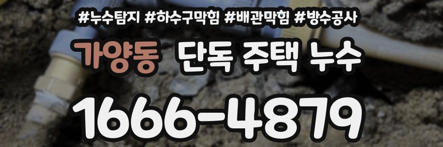 가양동 단독 주택 누수