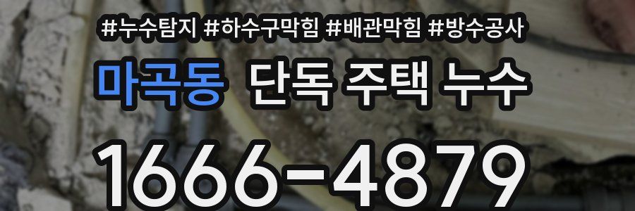 마곡동 단독 주택 누수
