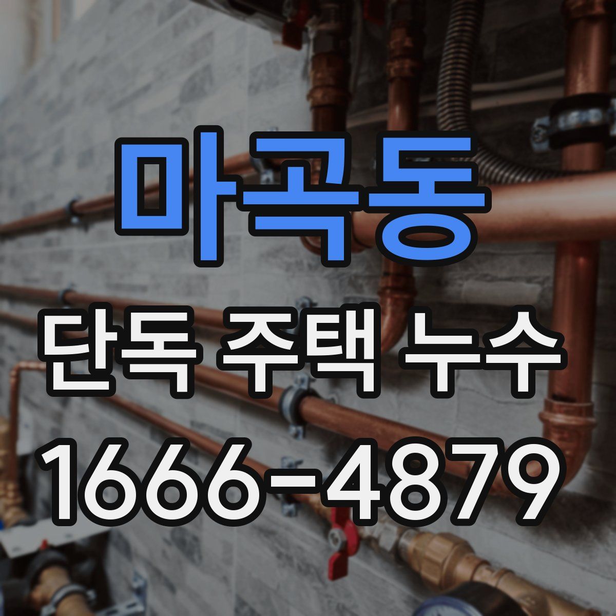 마곡동 단독 주택 누수