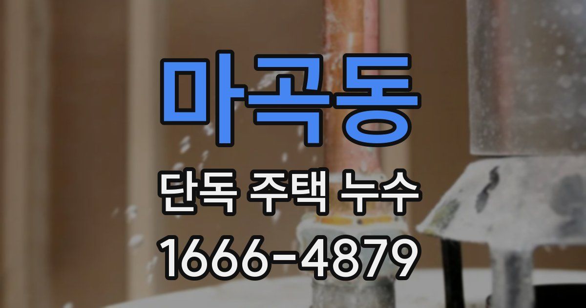 마곡동 단독 주택 누수