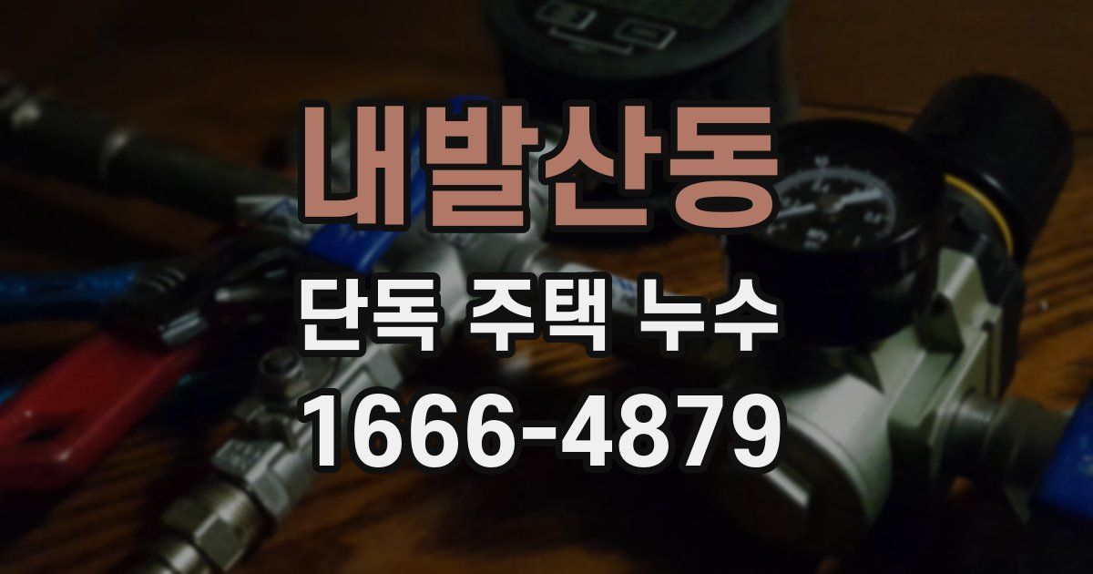 내발산동 단독 주택 누수