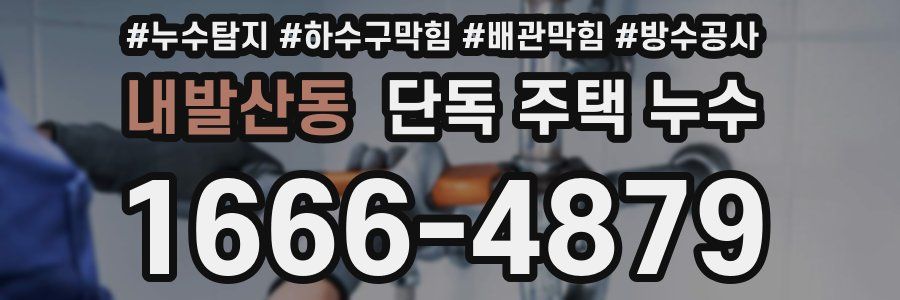 내발산동 단독 주택 누수