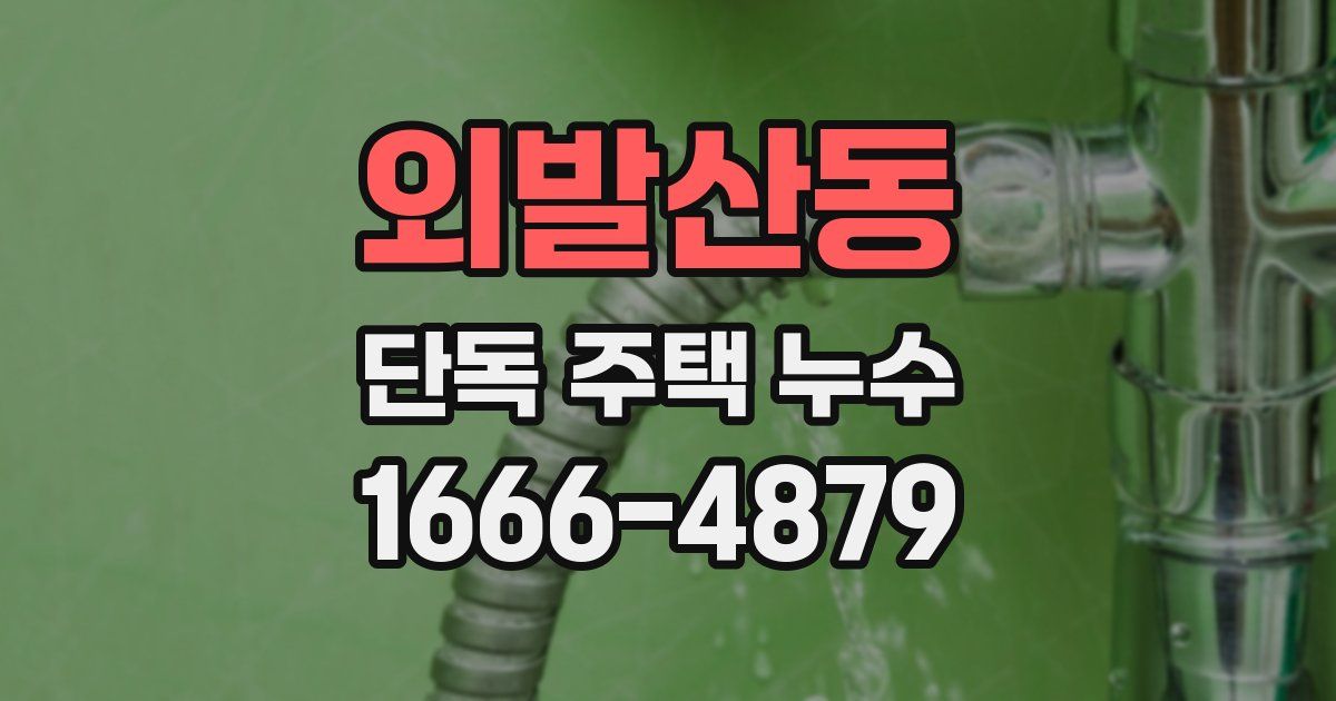 외발산동 단독 주택 누수