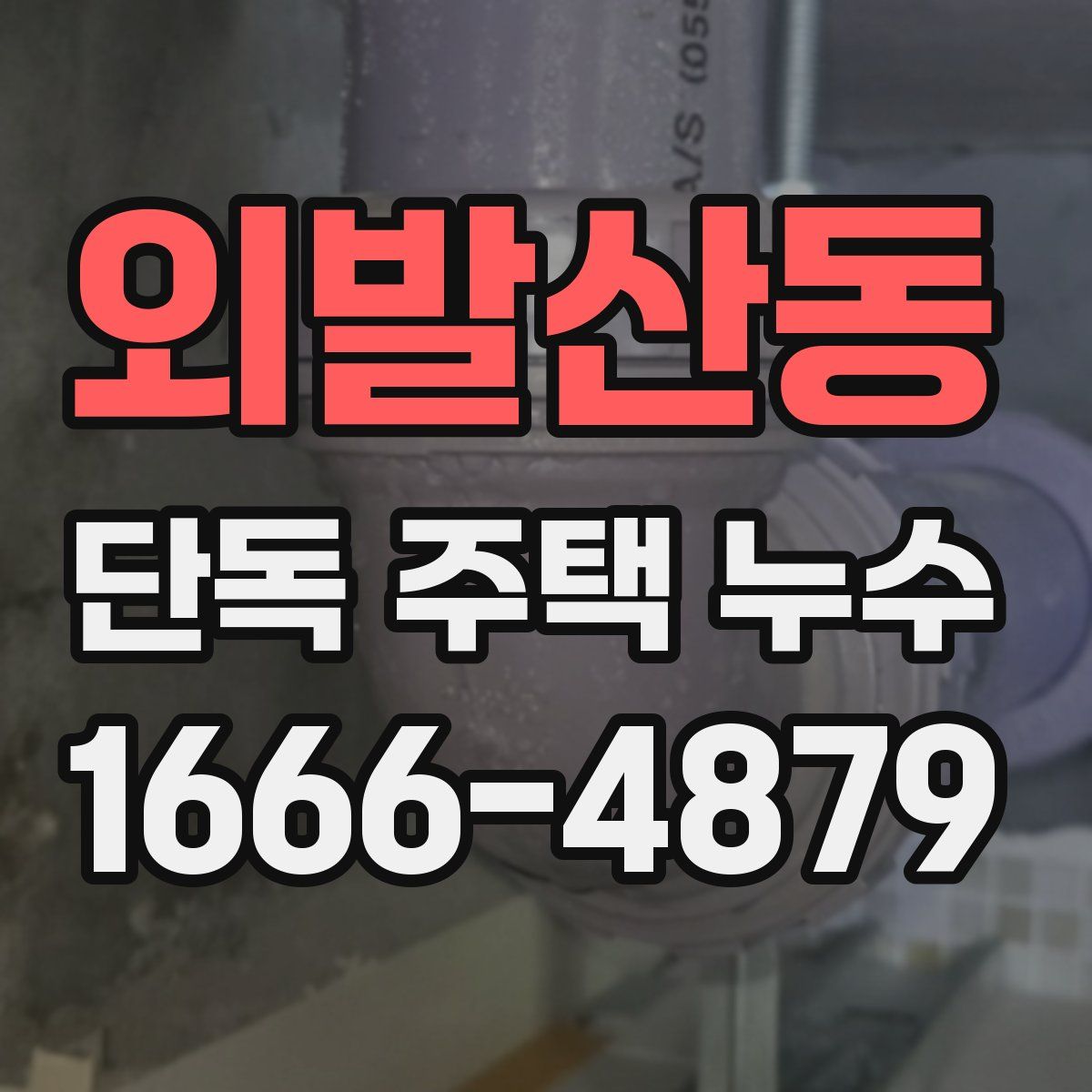 외발산동 단독 주택 누수