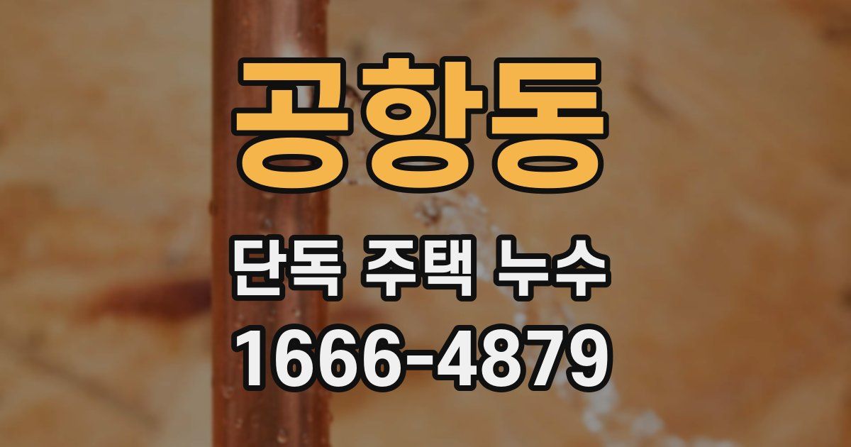 공항동 단독 주택 누수