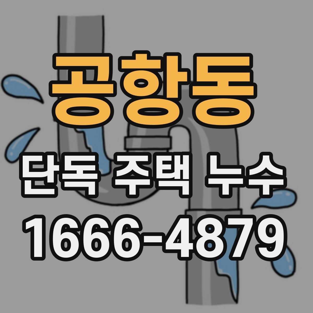 공항동 단독 주택 누수