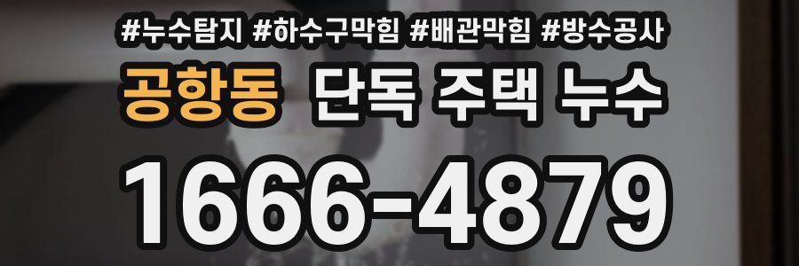 공항동 단독 주택 누수