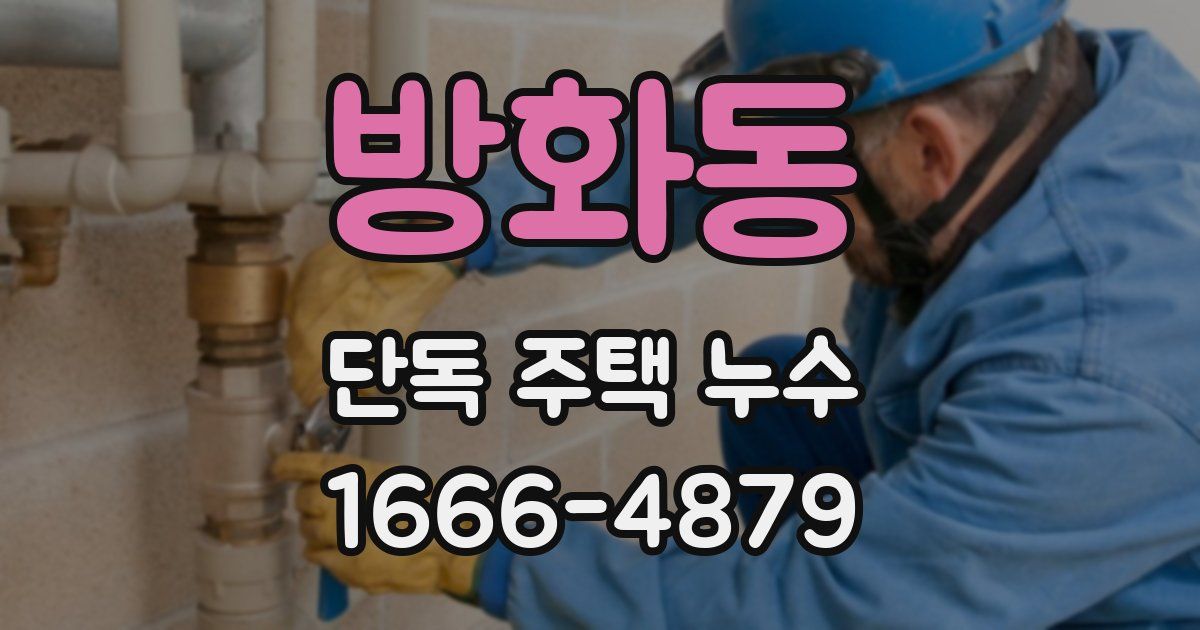 방화동 단독 주택 누수