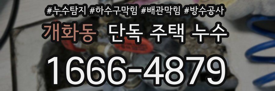 개화동 단독 주택 누수