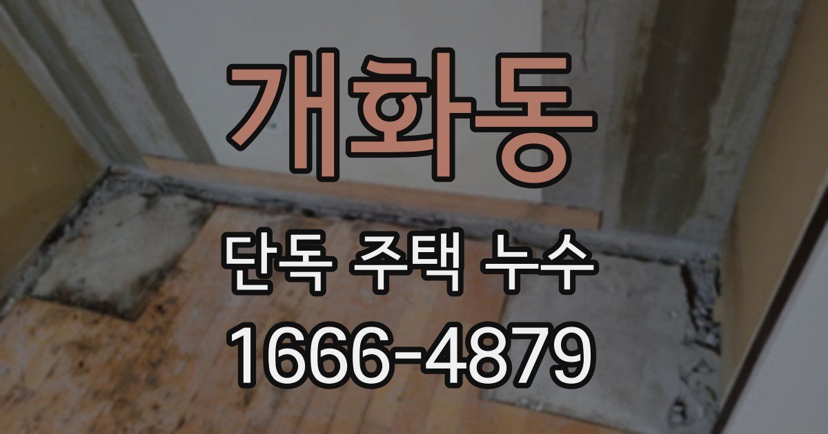 개화동 단독 주택 누수