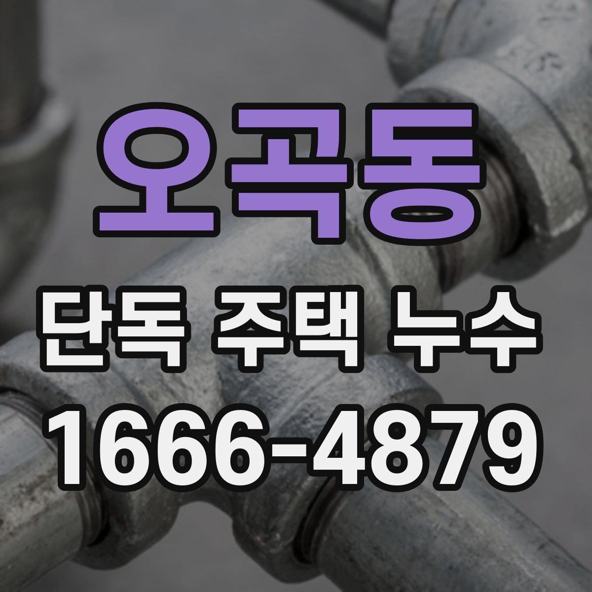 오곡동 단독 주택 누수