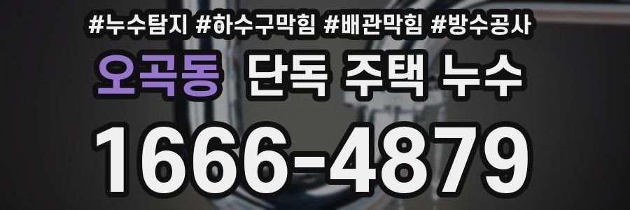오곡동 단독 주택 누수