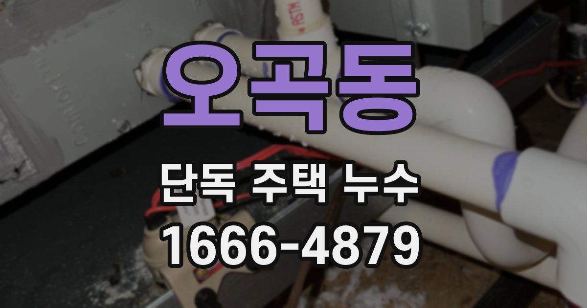 오곡동 단독 주택 누수