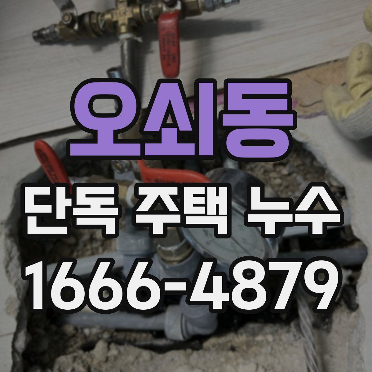 오쇠동 단독 주택 누수