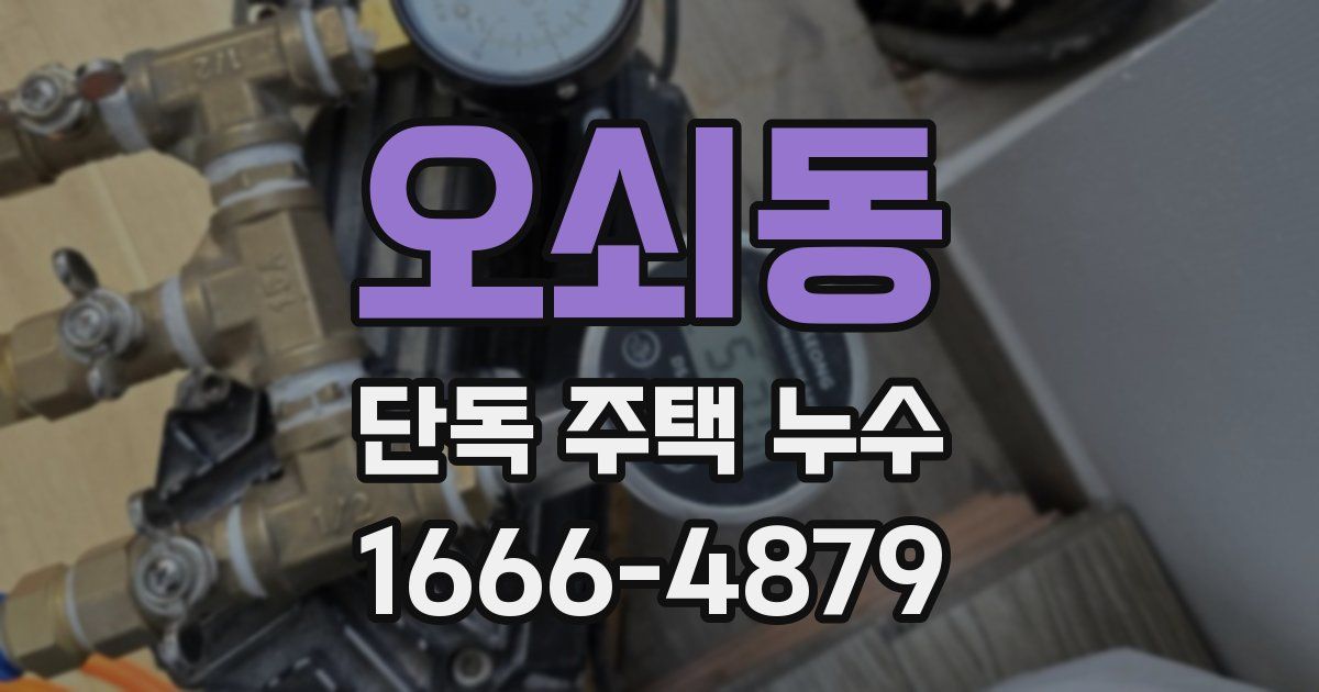 오쇠동 단독 주택 누수