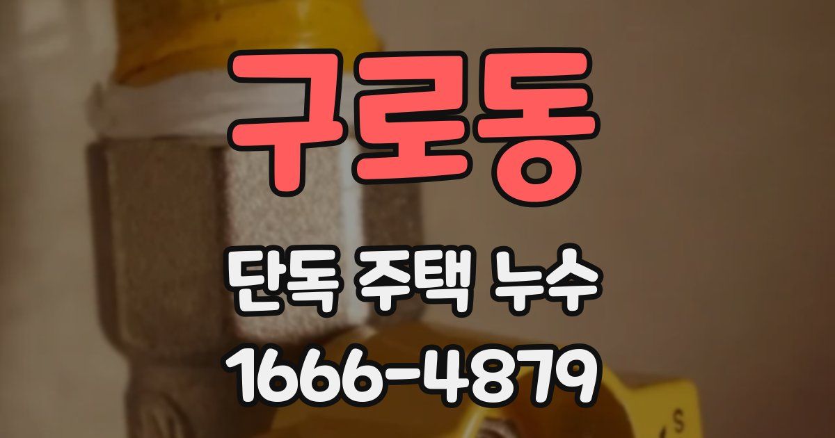 구로동 단독 주택 누수