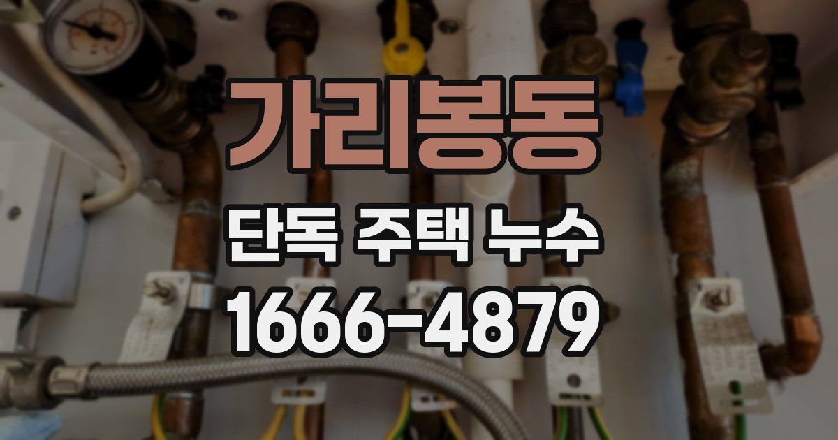 가리봉동 단독 주택 누수