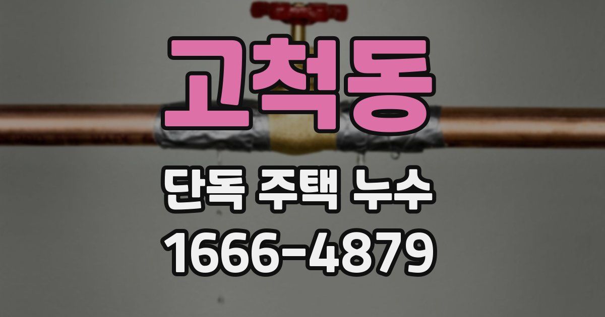 고척동 단독 주택 누수