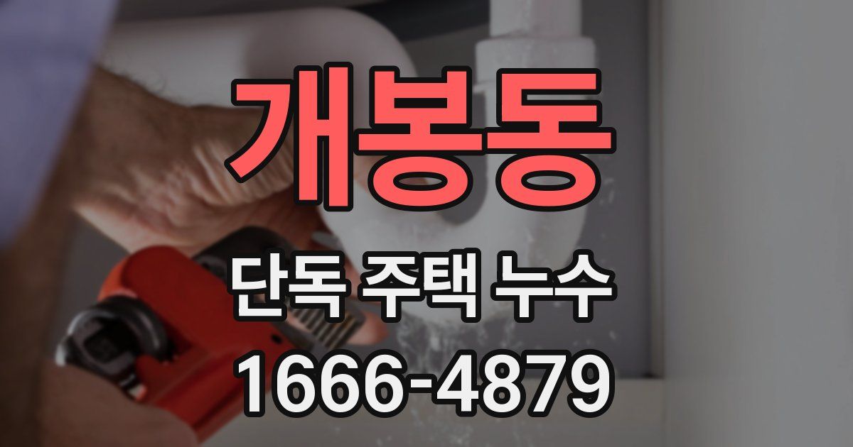 개봉동 단독 주택 누수