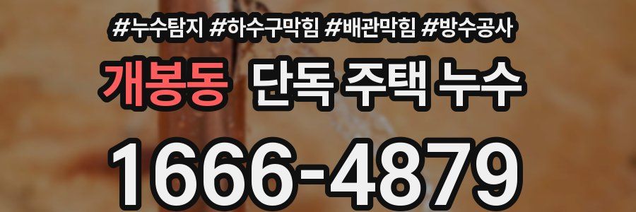 개봉동 단독 주택 누수