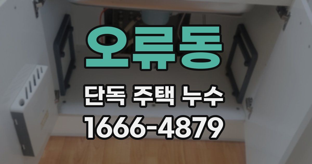 오류동 단독 주택 누수