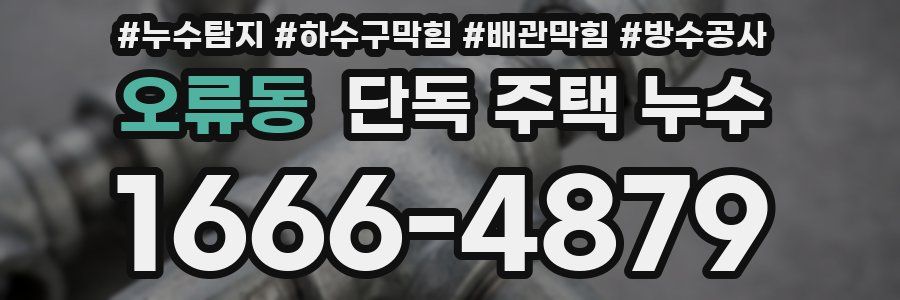 오류동 단독 주택 누수
