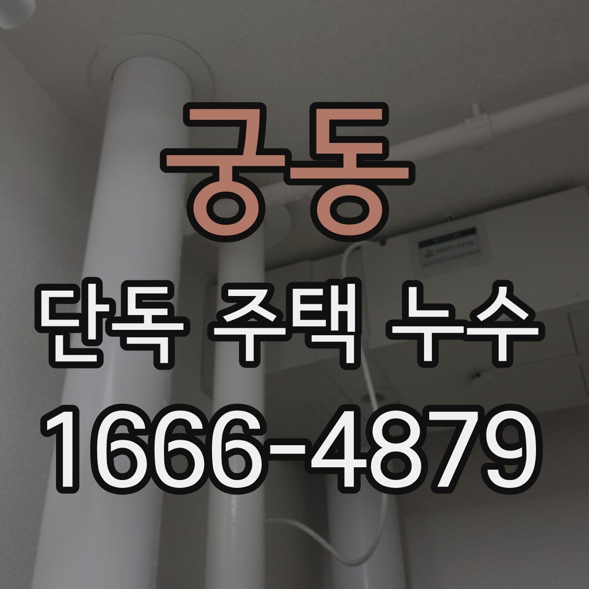 궁동 단독 주택 누수