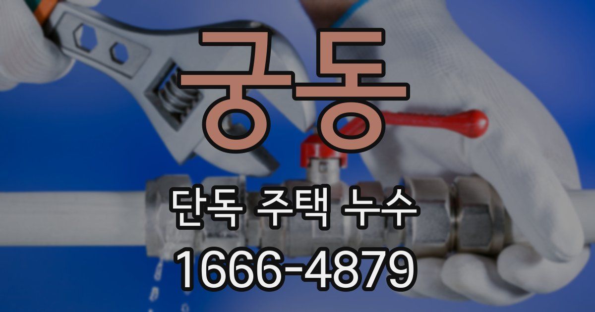 궁동 단독 주택 누수