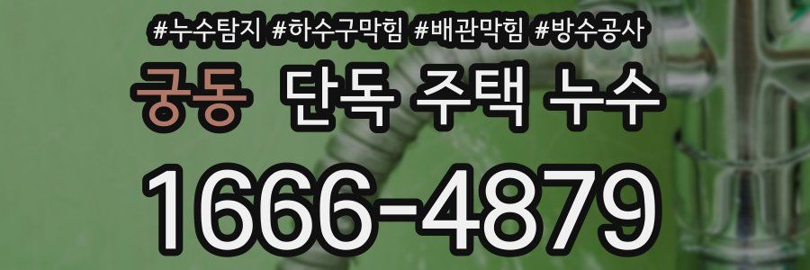 궁동 단독 주택 누수