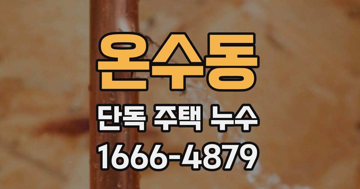 온수동 단독 주택 누수