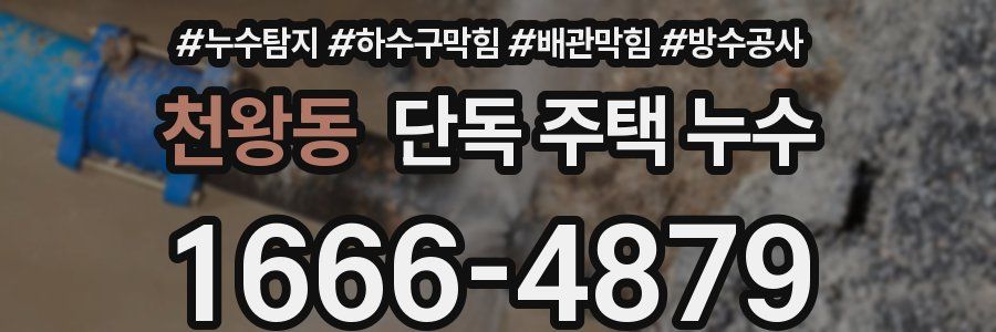 천왕동 단독 주택 누수