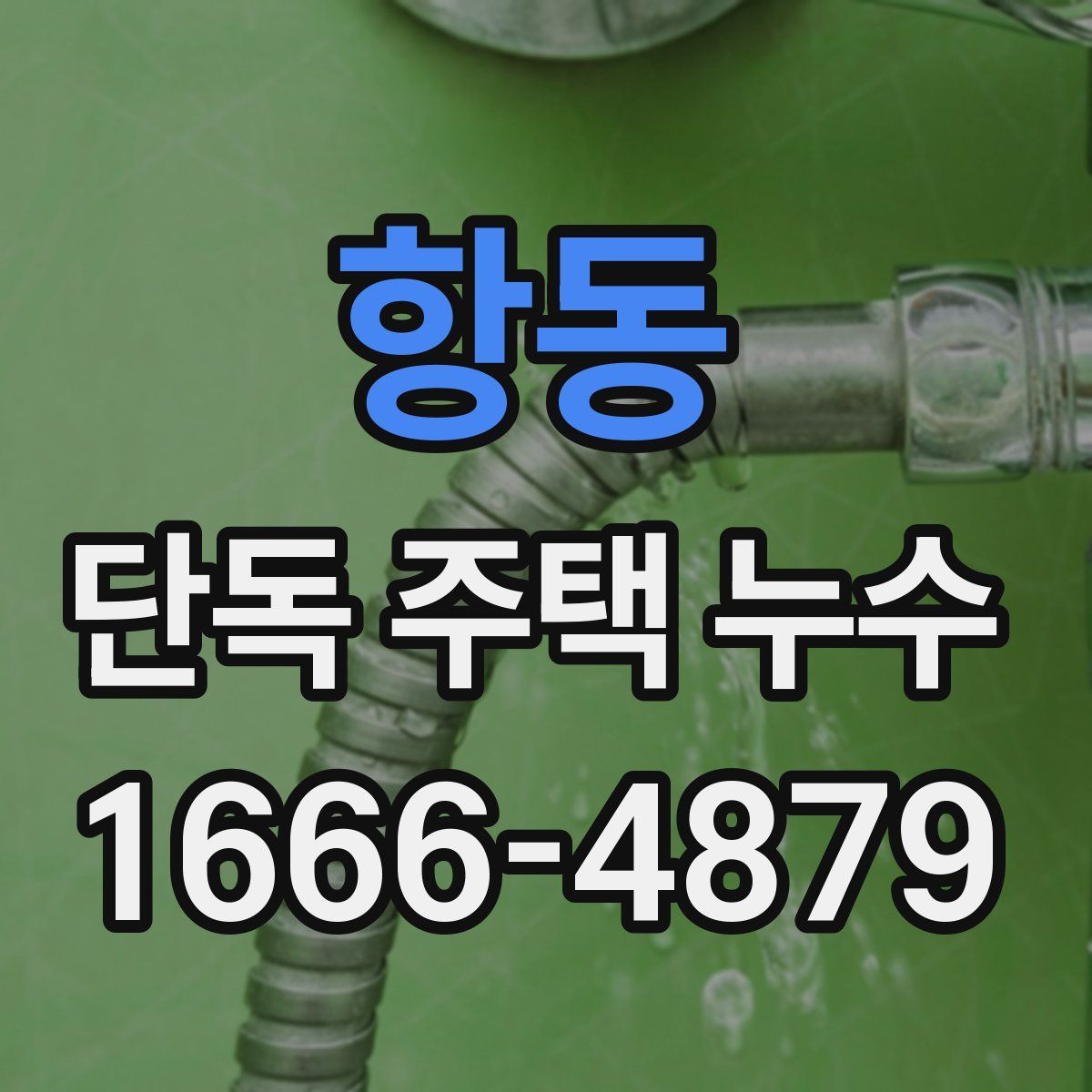 항동 단독 주택 누수