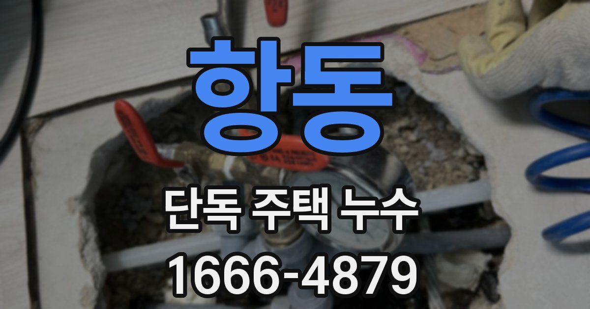 항동 단독 주택 누수