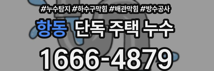 항동 단독 주택 누수