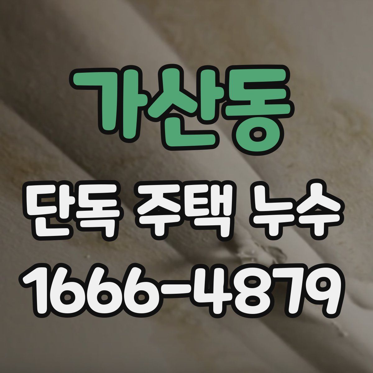가산동 단독 주택 누수