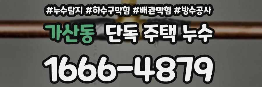 가산동 단독 주택 누수