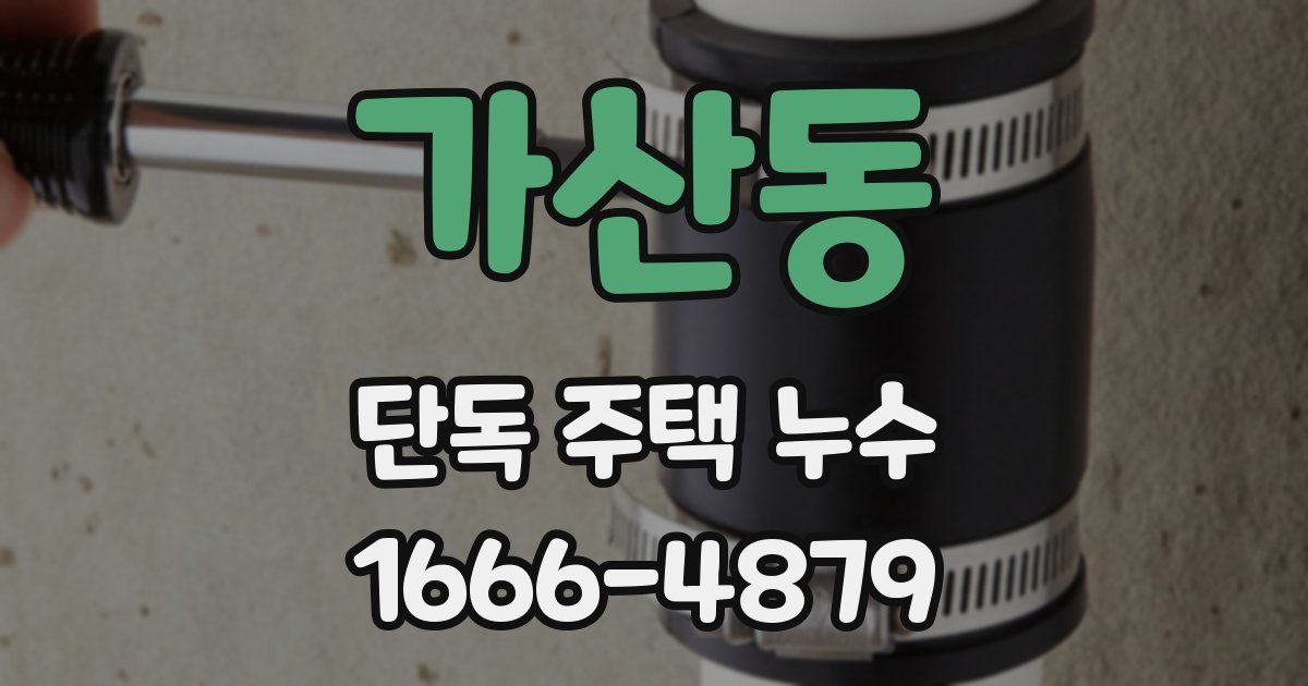 가산동 단독 주택 누수