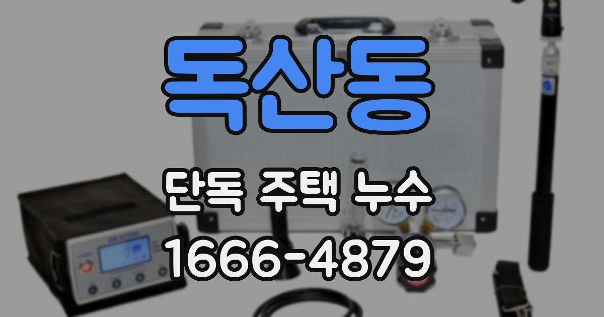 독산동 단독 주택 누수