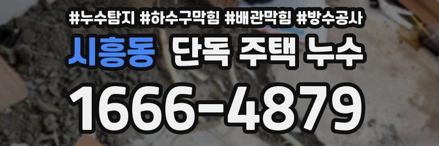 시흥동 단독 주택 누수