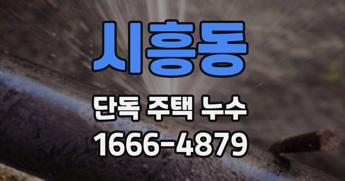 시흥동 단독 주택 누수