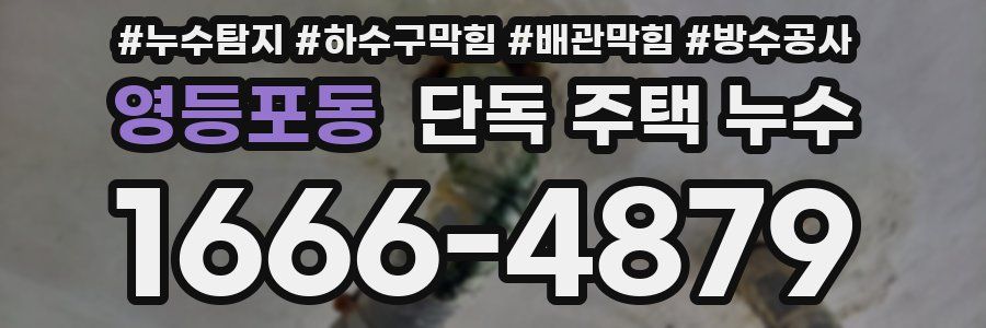 영등포동 단독 주택 누수
