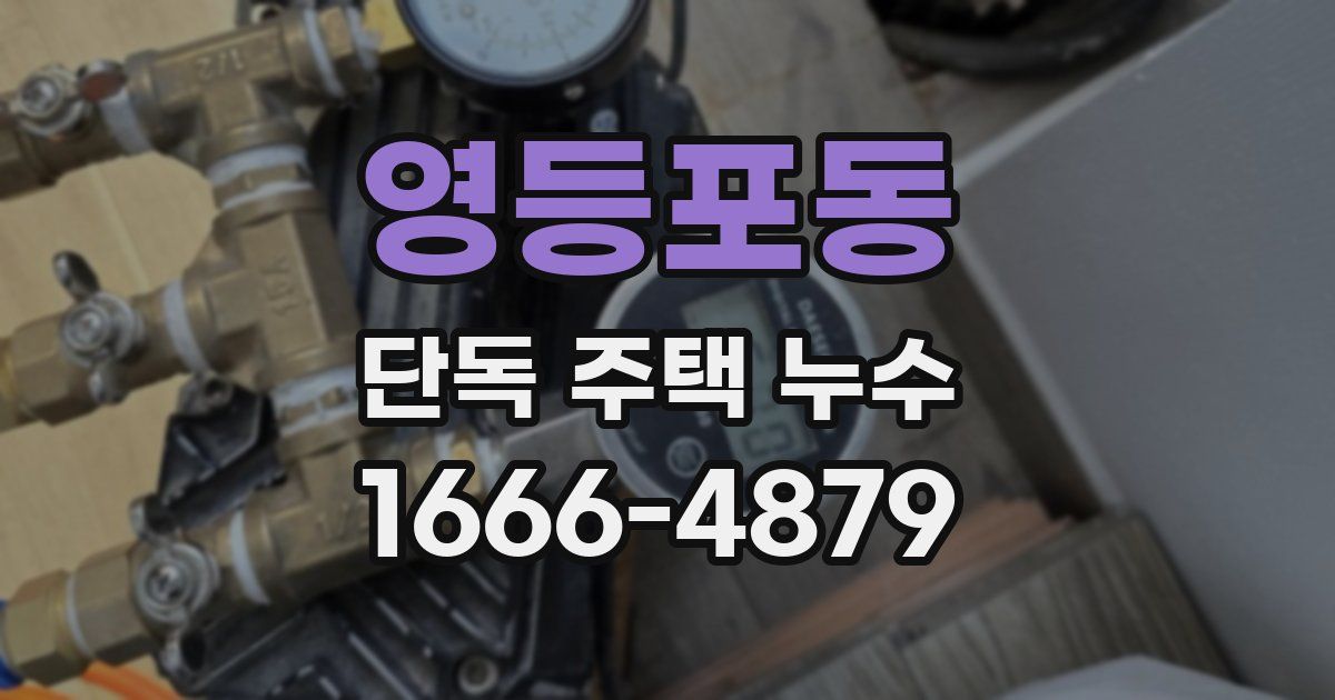 영등포동 단독 주택 누수