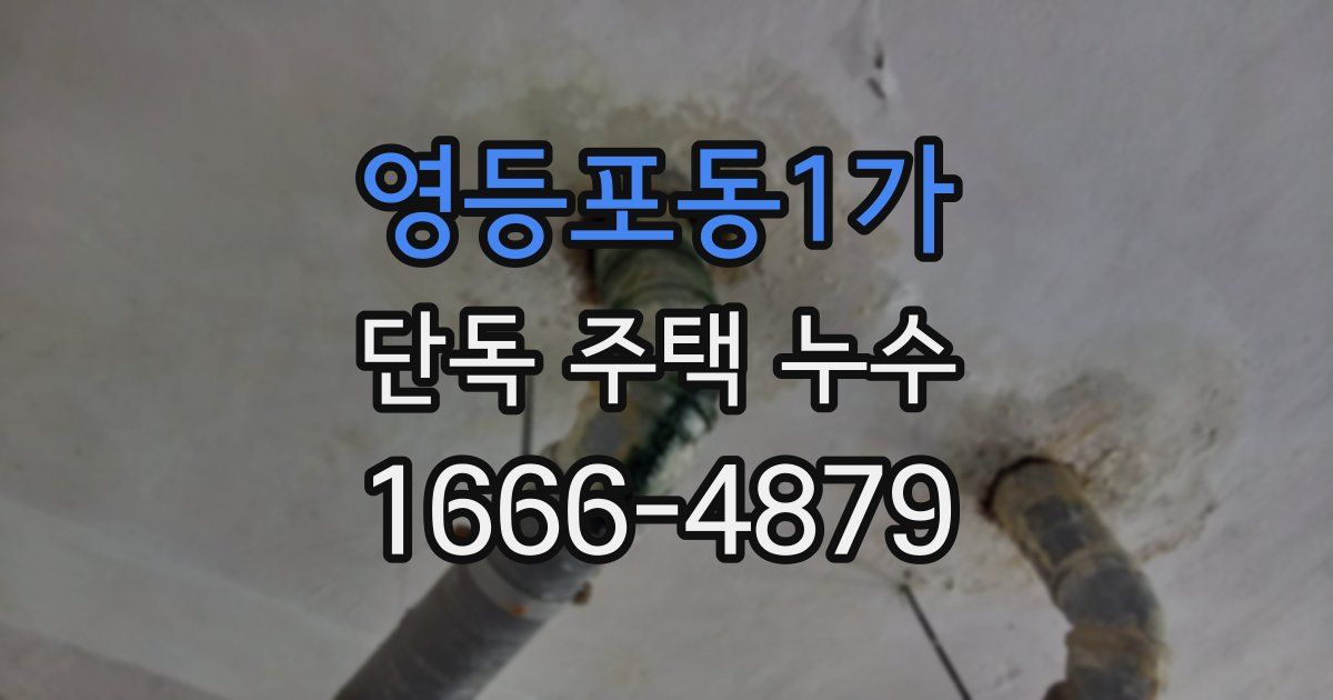 영등포동1가 단독 주택 누수