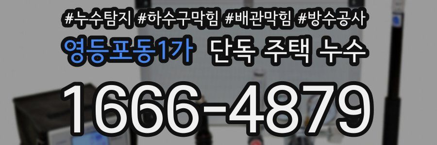 영등포동1가 단독 주택 누수