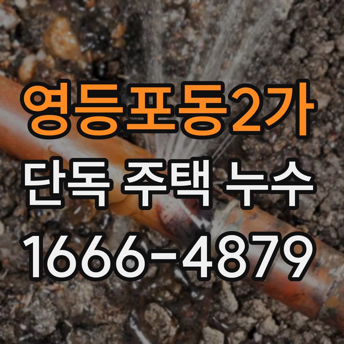 영등포동2가 단독 주택 누수