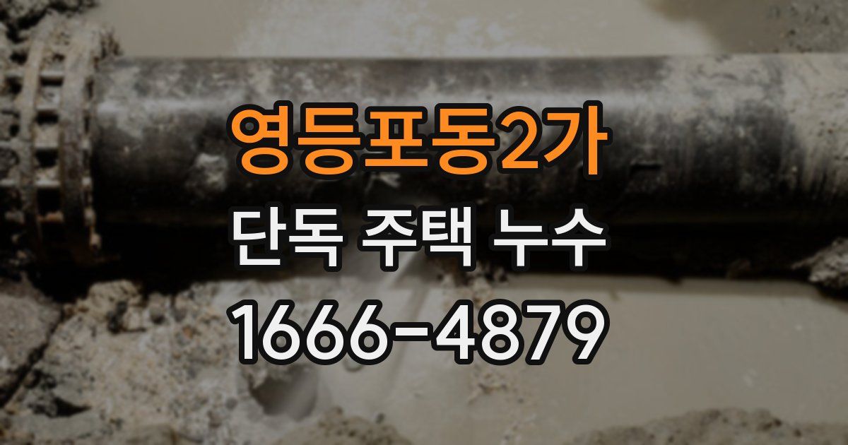 영등포동2가 단독 주택 누수