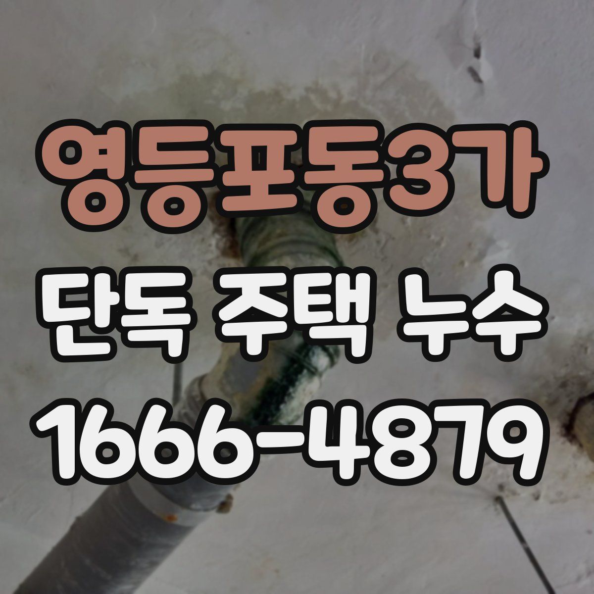 영등포동3가 단독 주택 누수
