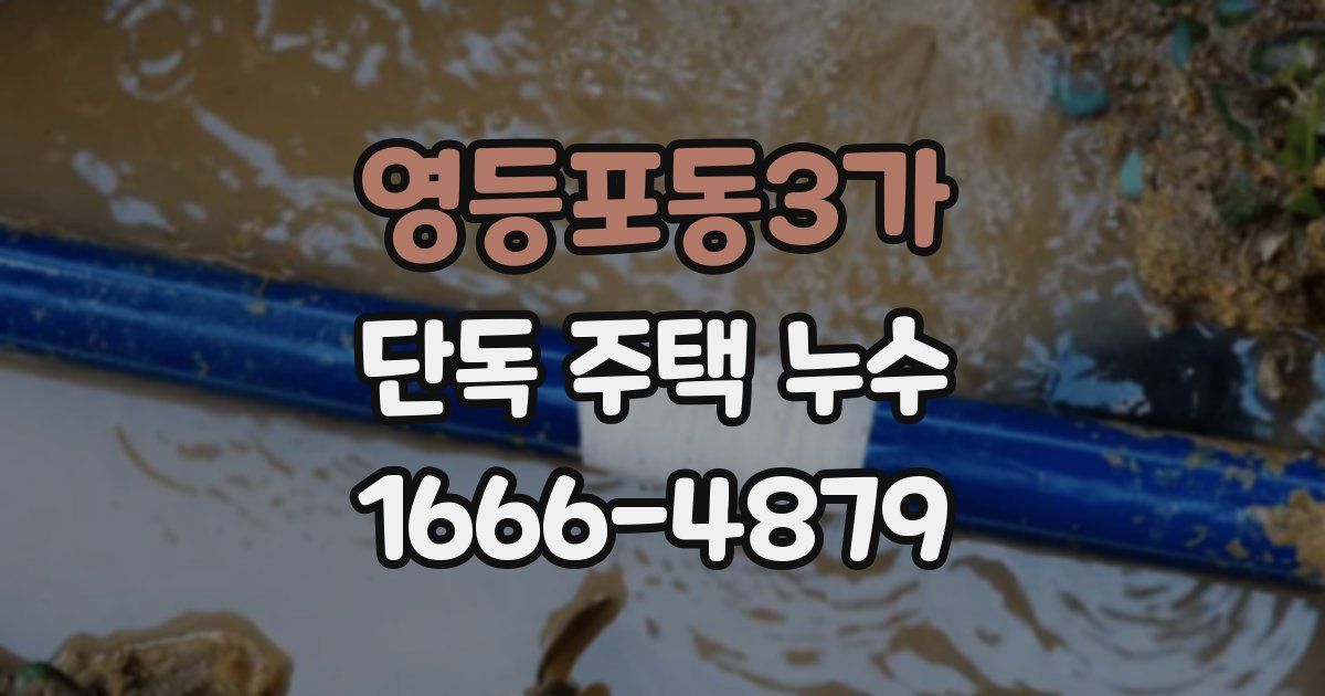 영등포동3가 단독 주택 누수