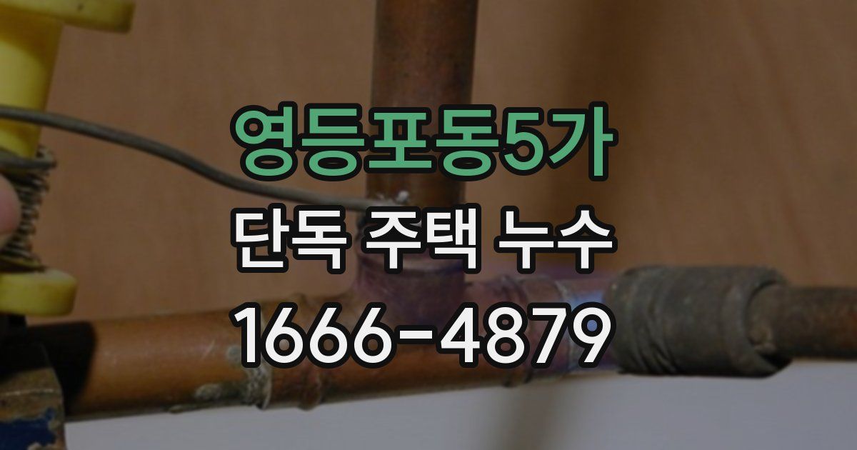 영등포동5가 단독 주택 누수