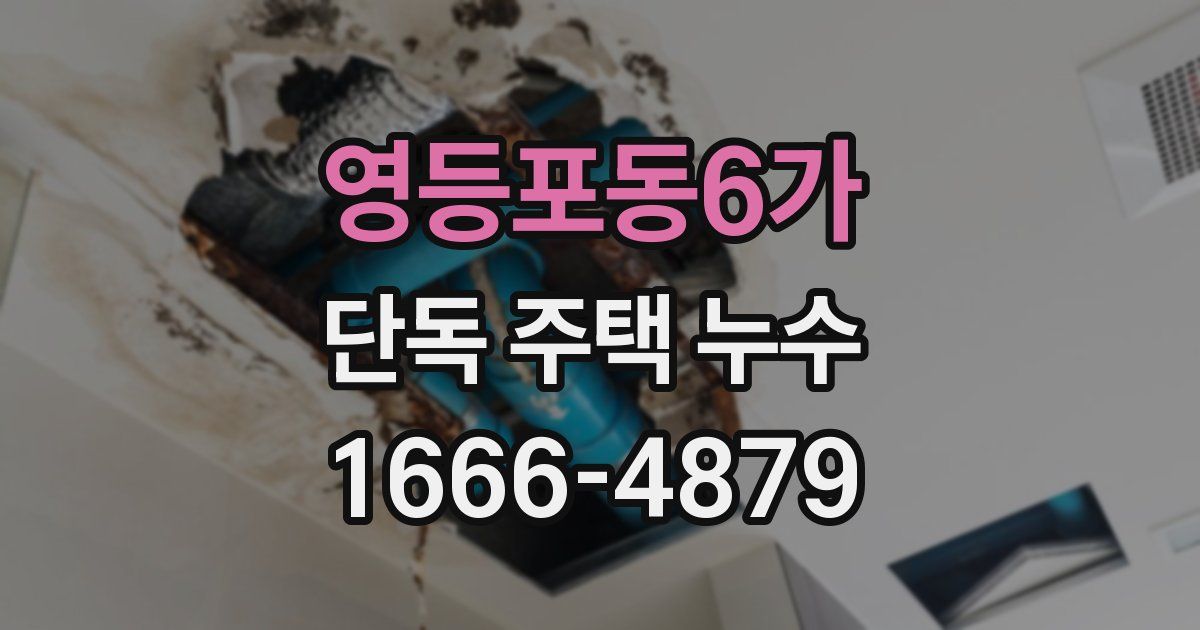 영등포동6가 단독 주택 누수